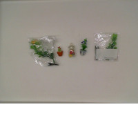Set of 5 Educational toys, trees