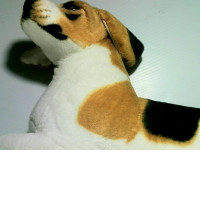 Toy depicting creature