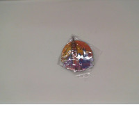 Hong Kong City Fridge Magnet 