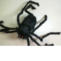 Spider for Halloween