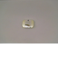 Rice milk scented soap