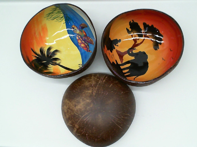 Set of 3Coconut shell with a sea pattern Set of 3Coconut shell with a sea pattern