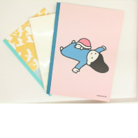 Set of 3 Notebooks for school