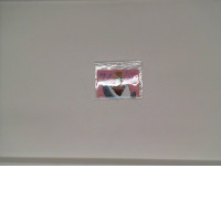 Cute cat fridge magnet