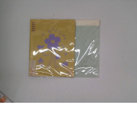 Set of 2 Calendar book