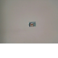 Cat shaped magnetic sheet