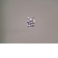 Set of 4 Cartoon plaster