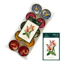 TONBOON Flower candle cattleya