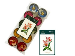 TONBOON Flower candle cattleya