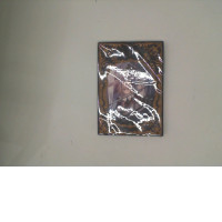 Comic books  YURI-HIME 