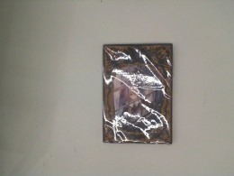 Comic books YURI-HIME Comic books YURI-HIME