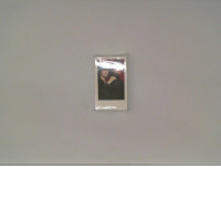 Postcards and celebrity autographs 