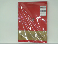 Comic books  AYUMI KASAI'S SHUNGA 