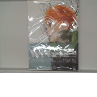 Comic books  Comp;ete llustration book