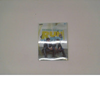 Magazine run the world Magazine run the world