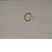 Flower hair band 