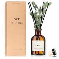 WEALD TRIBE Flower Reed Diffuser Set Eucalyptus & Lavender Scent For Bathroom Accessories Shelf Decor & Air Fresheners, Sticks Defusers With 4.0 fl oz Essential Oils, House Bedroom Office Decor & Gift