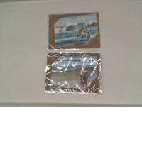 Set of 2 Postcard of a dog running by the sea 