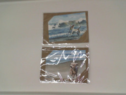 Set of 2 Postcard of a dog running by the sea 