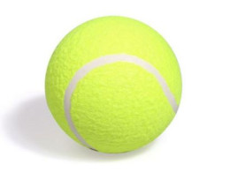 Tennis ball 