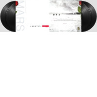 1 Album of 4LP Vinyl Thirty Seconds To Mars  A Beautiful Lie 