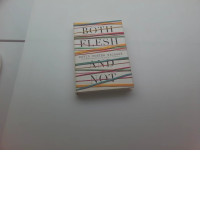 BOTH FLESH David Foster Wallace AND NOT BOTH FLESH David Foster Wallace AND NOT