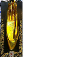 Set of 2 Decorative paintings with palm Set of 2 Decorative paintings with palm