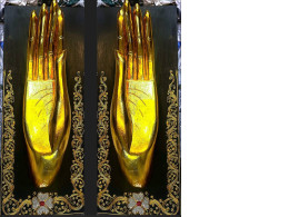 Set of 2 Decorative paintings with palm Set of 2 Decorative paintings with palm