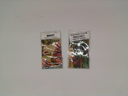 Set of 2 Magnet Bemember vietnam