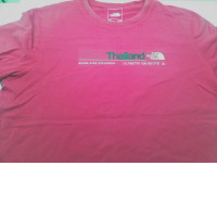 THE NORTH FACE T shirt 