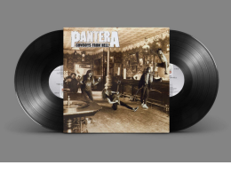 1 set of 2 LP Cowboys From Hell LP Pantera