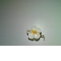 Flower shaped soap Flower shaped soap