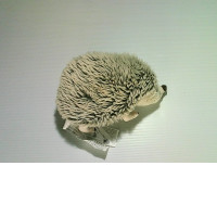 toy hedgehog
