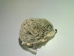 toy hedgehog