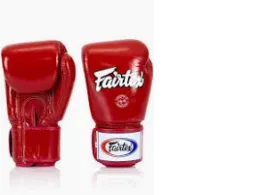 Twins boxing gloves 