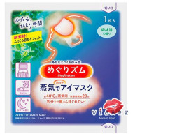 Set of 2 Kao Megrhythm Steam Warm Eye Mask 