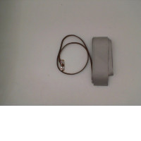 Set of 2 Women's Belt