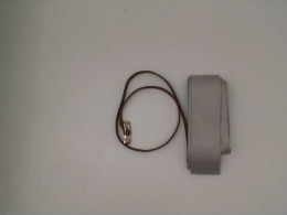 Set of 2 Women's Belt