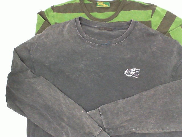 Set of 2 Long sleeve round neck shirt Set of 2 Long sleeve round neck shirt