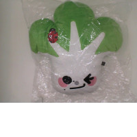 Cabbage pattern blanket pillow