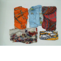 Set of 5 Women's Scarf