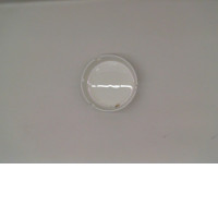 White and gold ashtray 