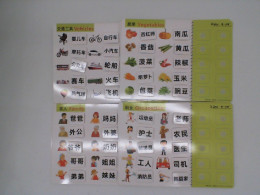 Set of  Chinese character writing practice with pictures 