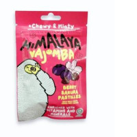 Himalaya Vajomba Chewy & Minty Pastilles Himalaya Vajomba Chewy & Minty Pastilles