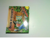 children's story book