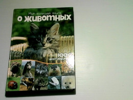 book about animals book about animals