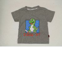 Gray round neck shirt for kids with dinosaur pattern 