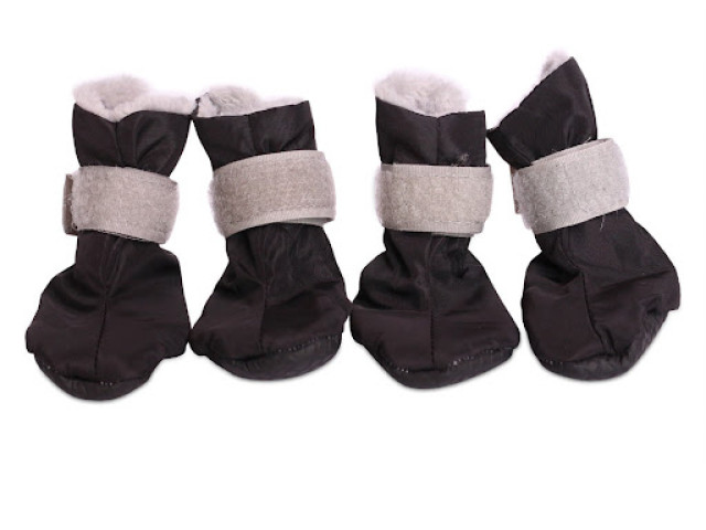 Warm shoes for small dogs Warm shoes for small dogs