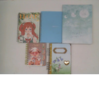 Set of 5 Notebook 