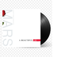 A Beautiful Lie LP Thirty Seconds To Mars Vinyl